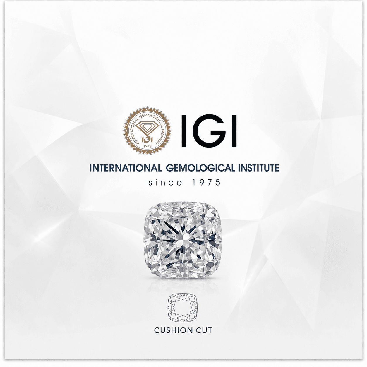 IGI Cushion 1.07ct
