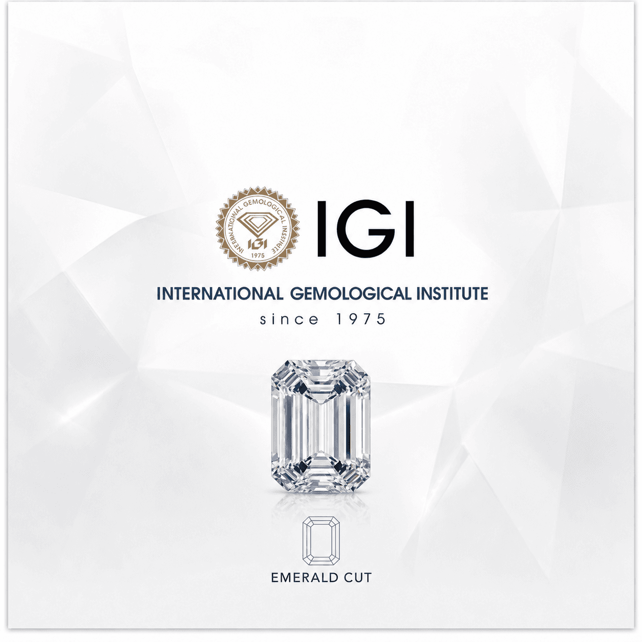 IGI Emerald 3.02ct