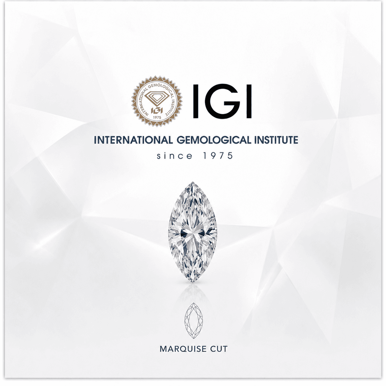 IGI Marquise 3.03ct
